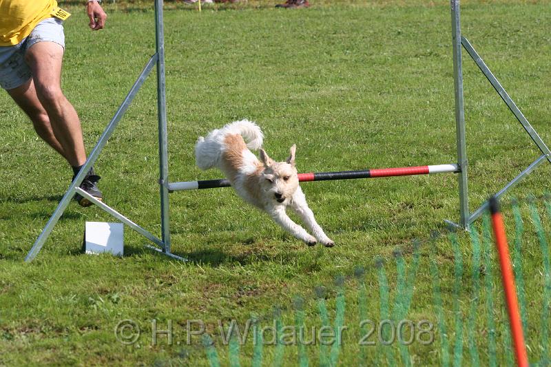 jubil.lusten. 203.jpg